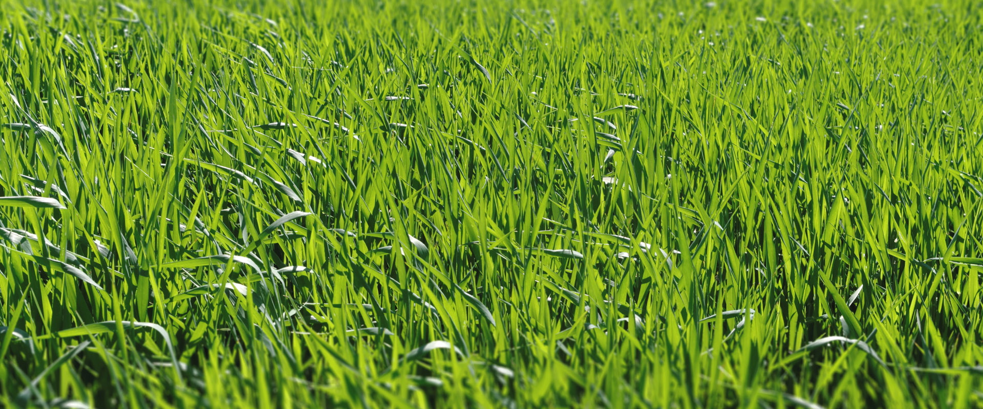 Hydraulic Erosion Control Products HECPs LSC